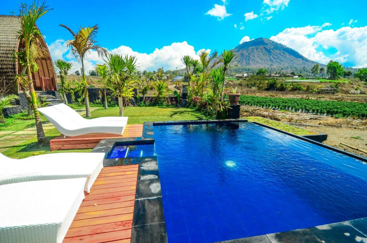 Batur Panorama Bed & Breakfast Kintamani  Exterior photo